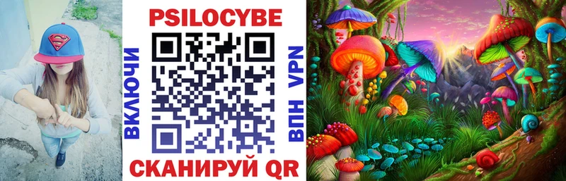 Купить закладки Удачный Псилоцибиновые грибы Psilocybe